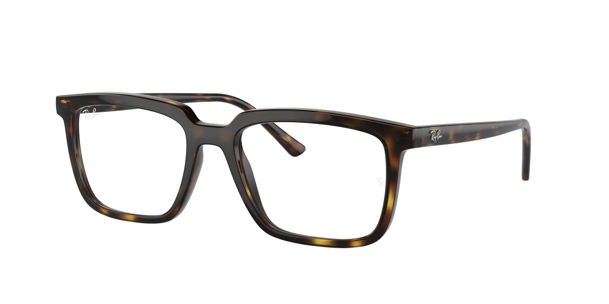 Ray-Ban Optical 7239 VISTA