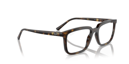 Ray-Ban Optical 7239 VISTA