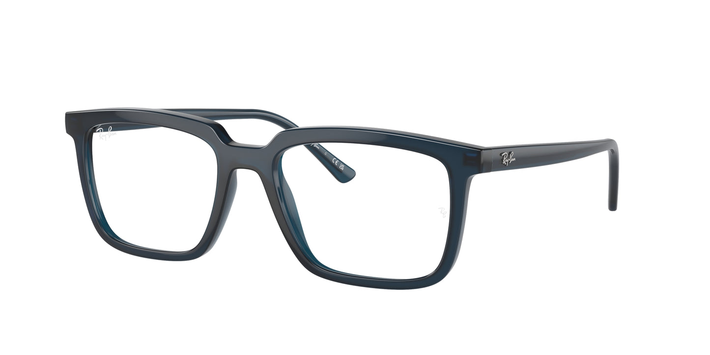 Ray-Ban Optical 7239 VISTA