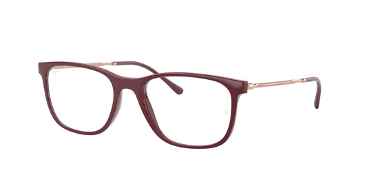 Ray-Ban Optical 7244 VISTA