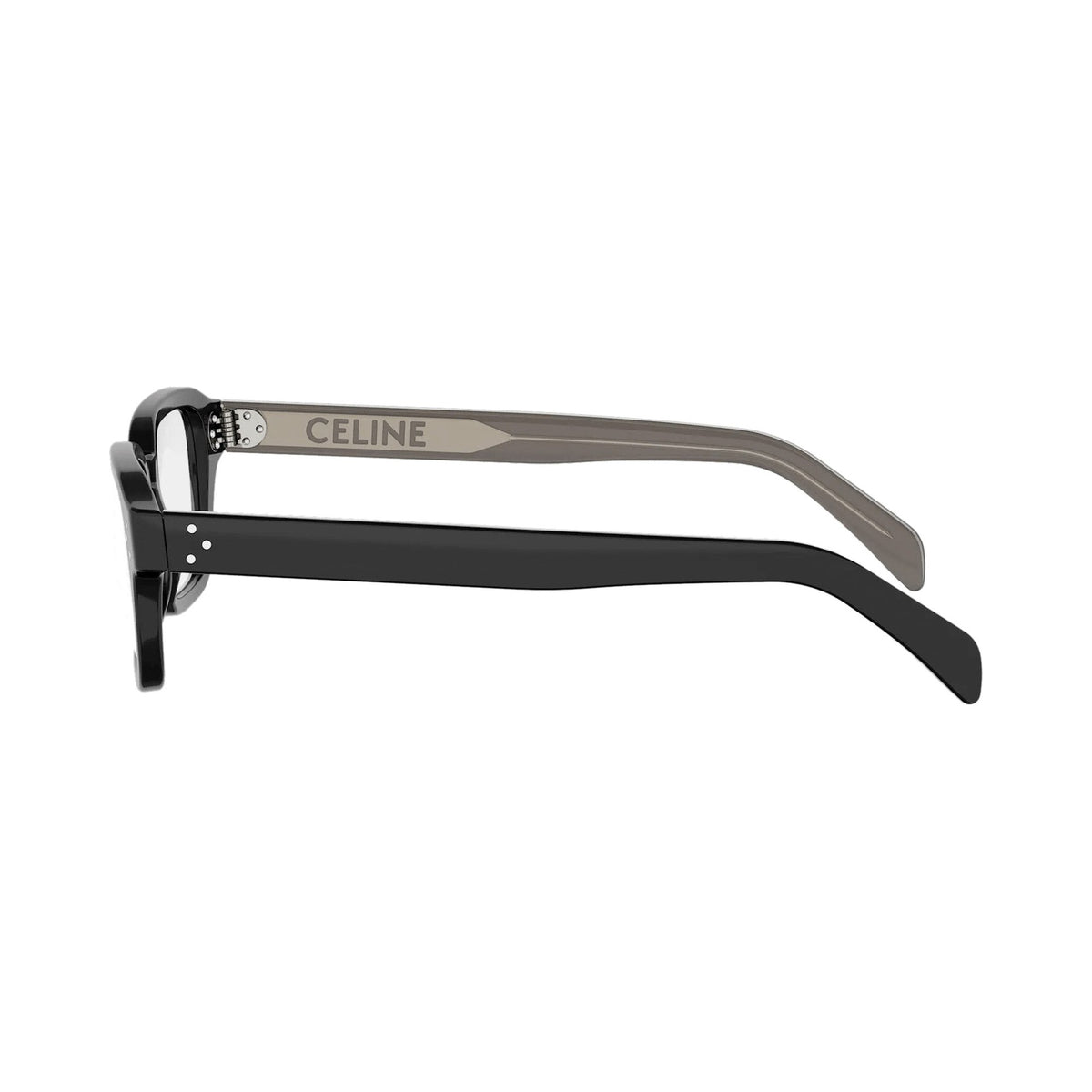 CELINE CL50189I 001 laterale