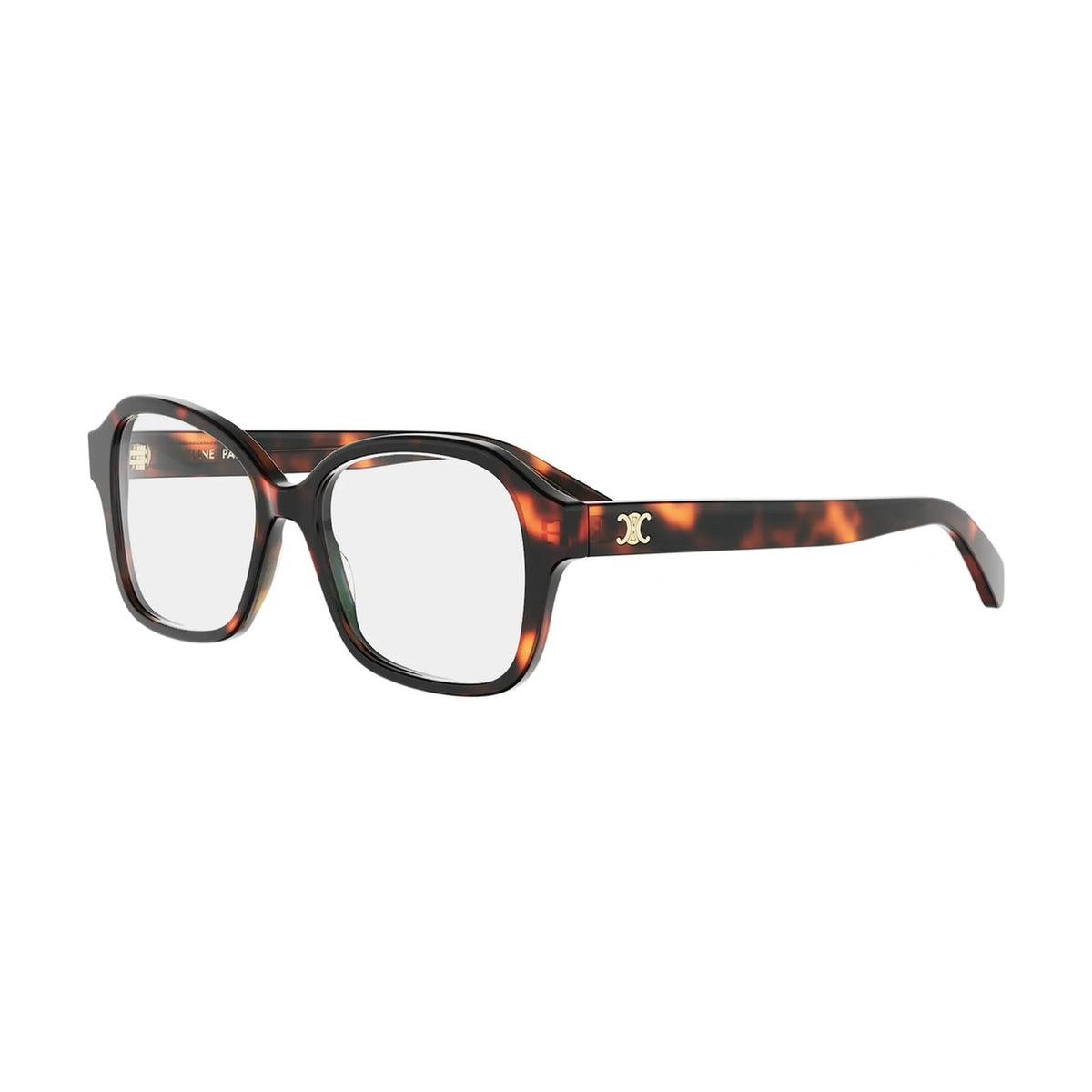 CELINE CL50192I