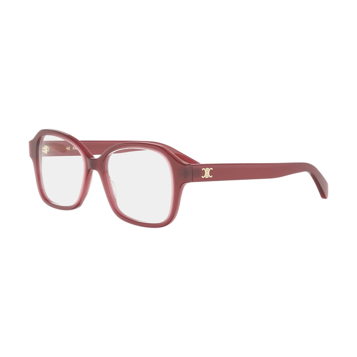 CELINE CL50192I