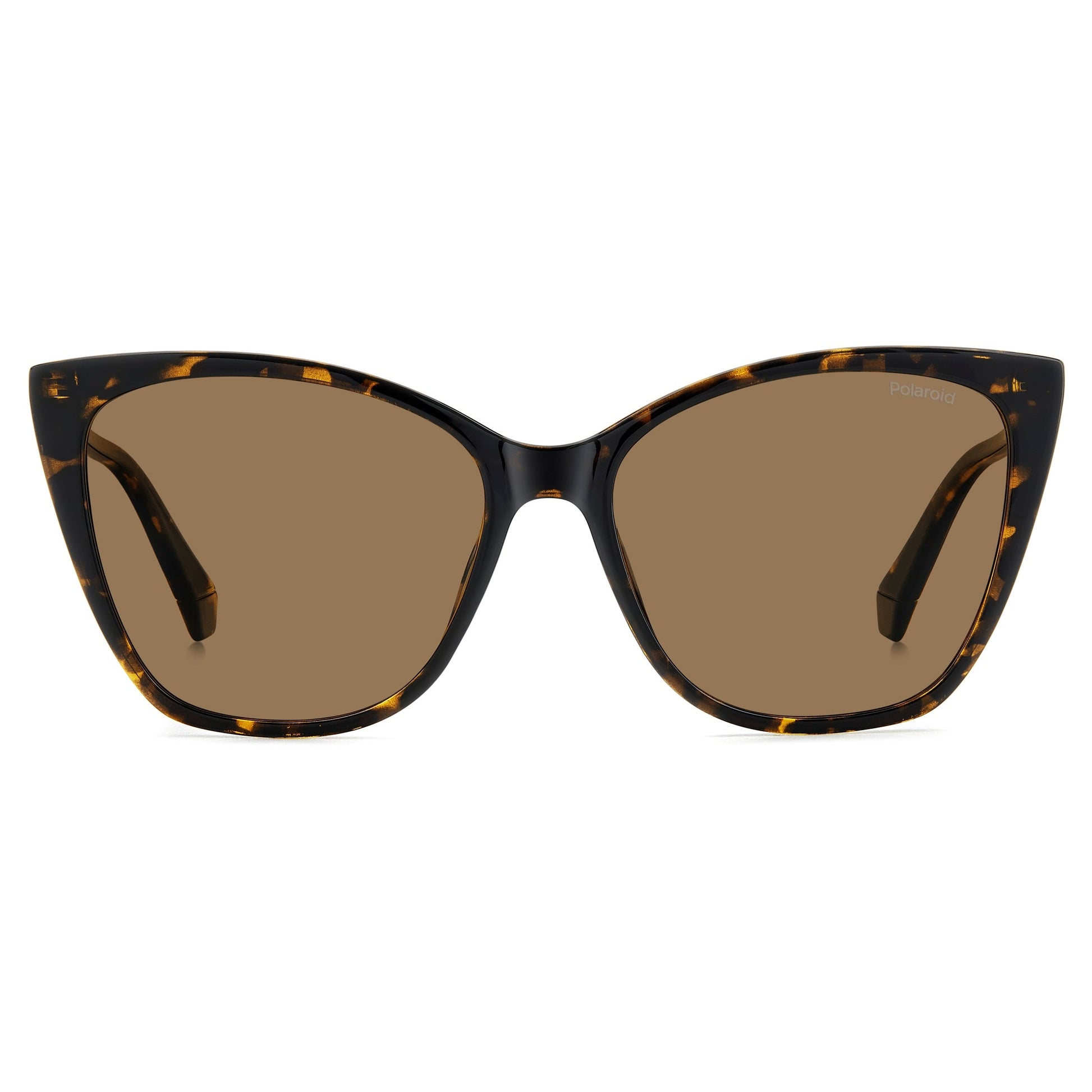 Polaroid Pld 4181/s 086/SP HAVANA