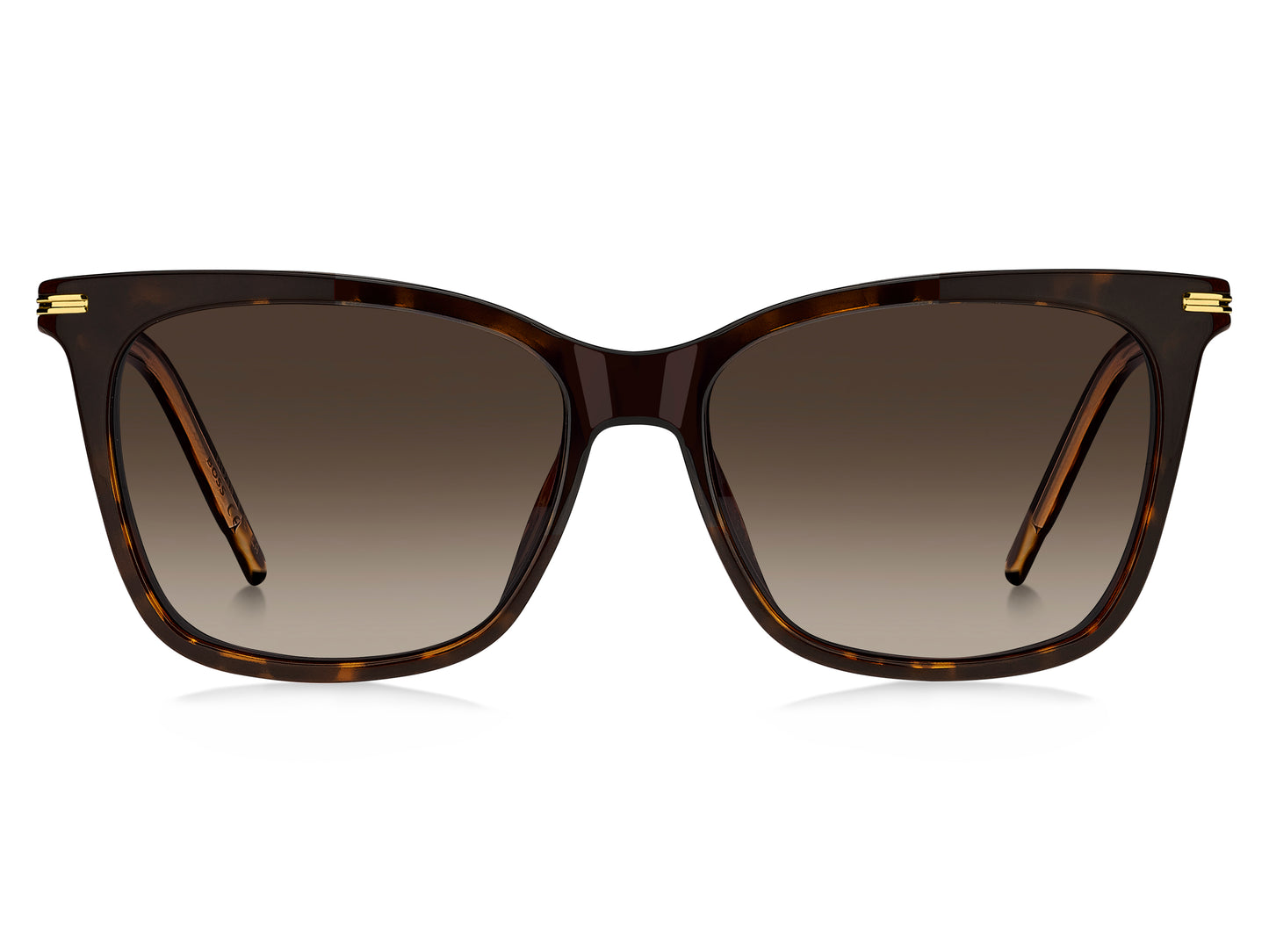 Hugo Boss Black Boss 1787/g/c