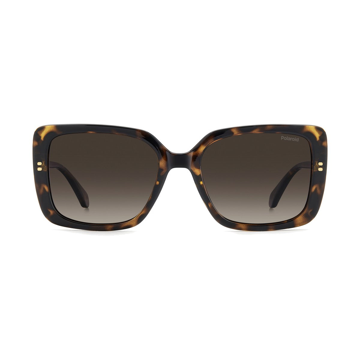 Polaroid PLD 4199/S/X | Occhiali da sole donna havana