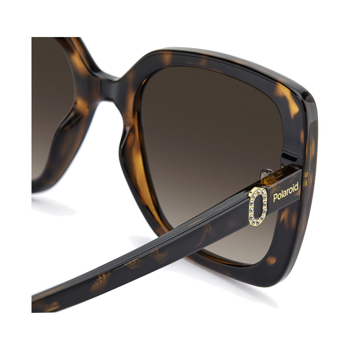 Polaroid PLD 4199/S/X | Occhiali da sole donna havana