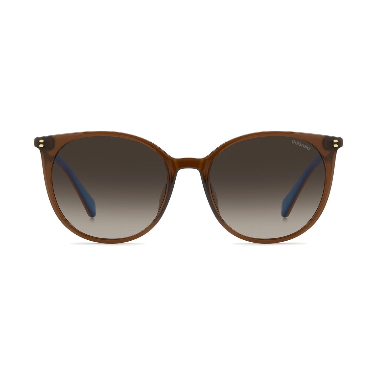 Polaroid PLD 4208/S/X | Occhiali da sole donna marrone