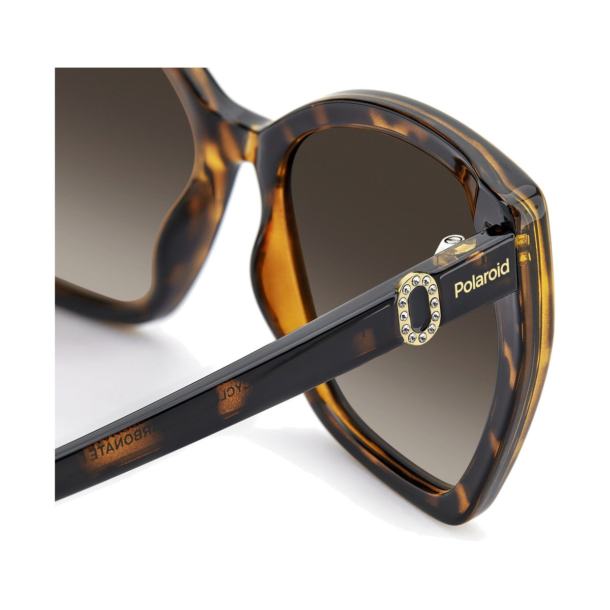 Polaroid PLD 4198/S/X | Occhiali da sole donna havana