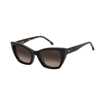 Carrera CA 3036/C 086/17 HAVANA laterale