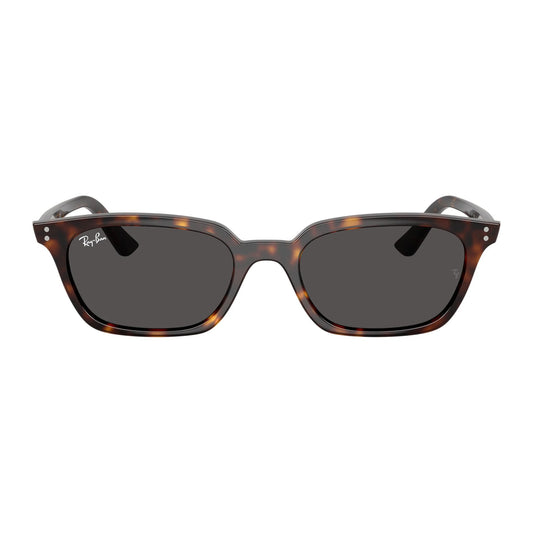 Ray-Ban 4456 SOLE | Occhiali da sole unisex