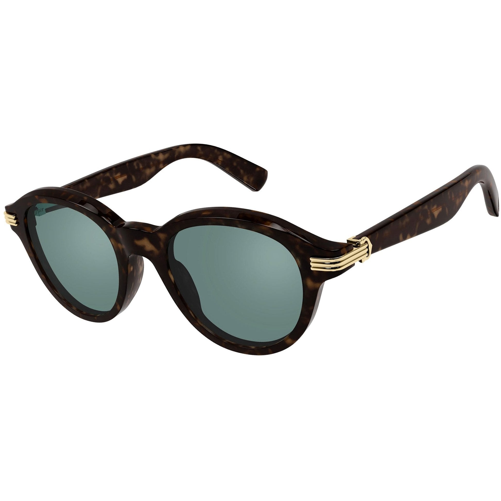 CT0395S / 002 havana havana green 002 havana havana green