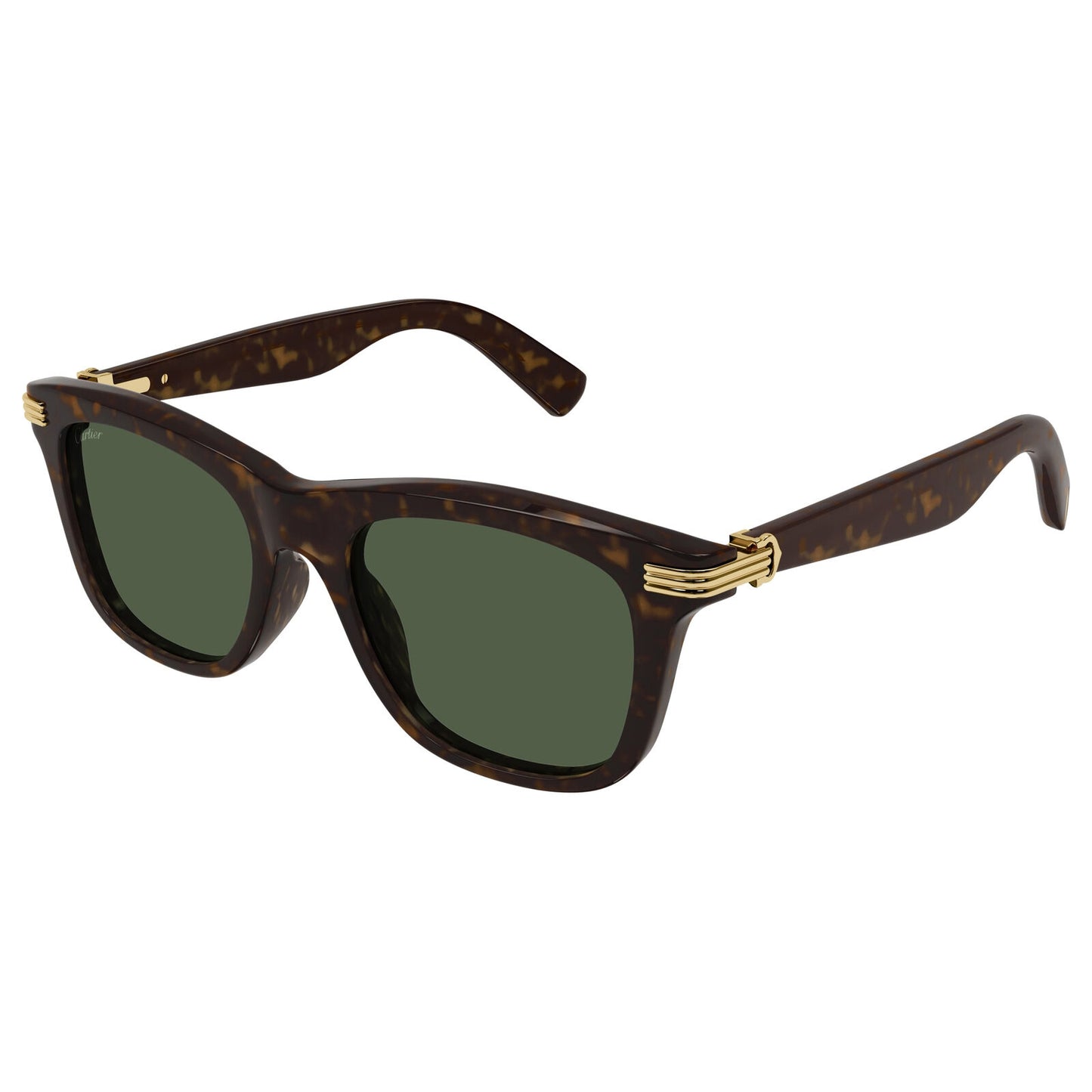 CT0396S / 002 havana havana green 002 havana havana green