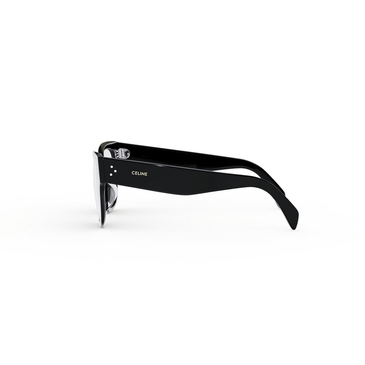 CL50110U 001 laterale