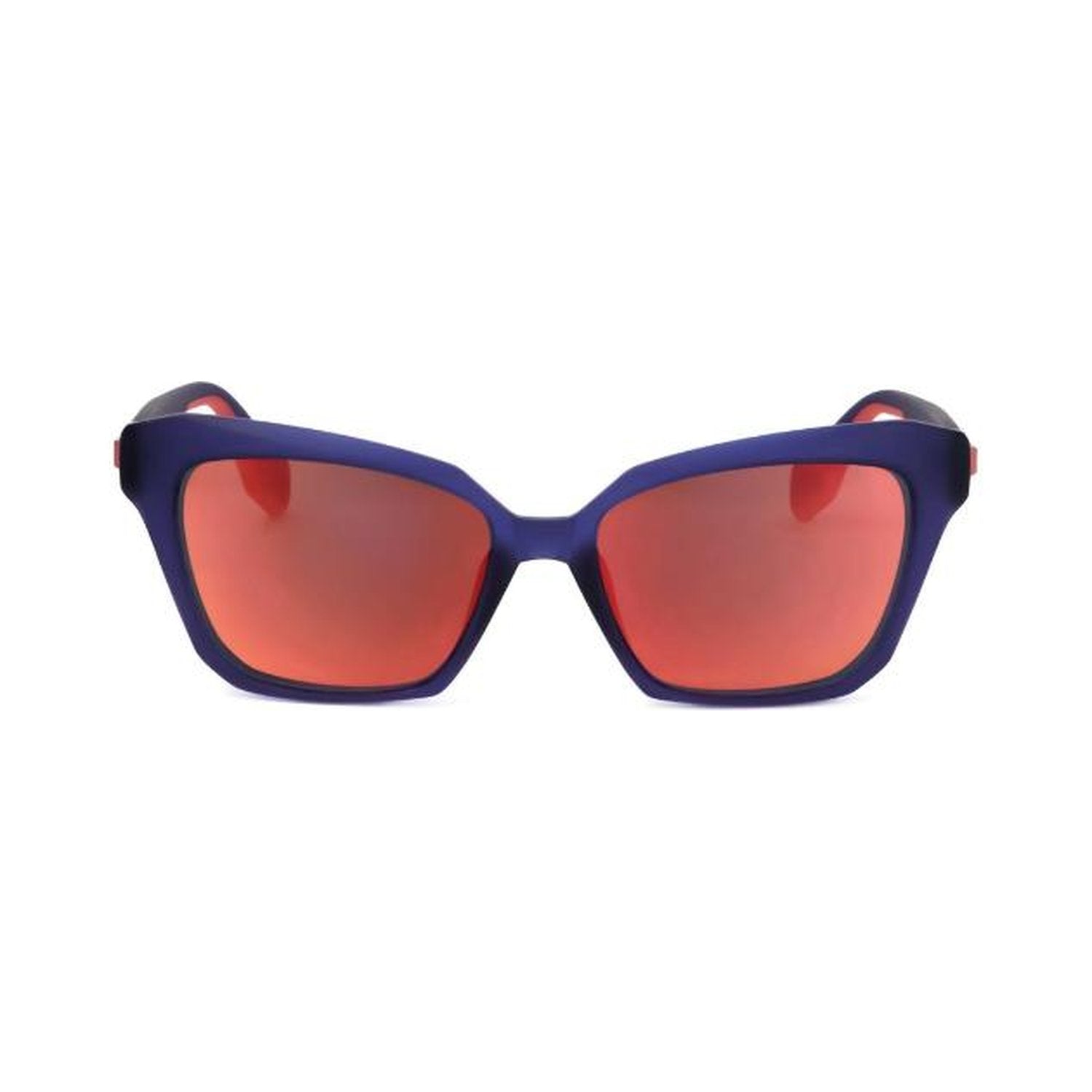 #C READING Tortoise +2,5