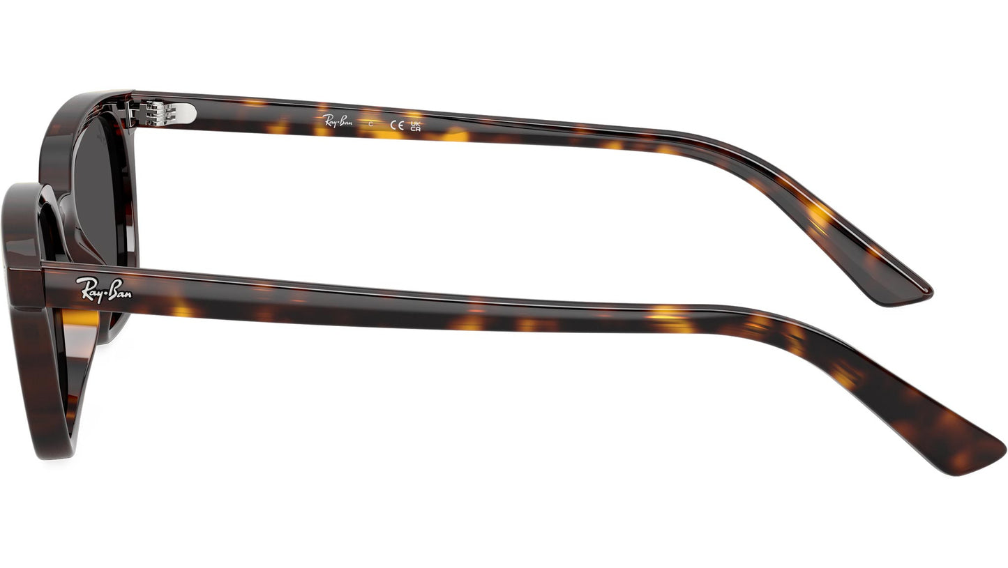 Ray-Ban RB4456 135987