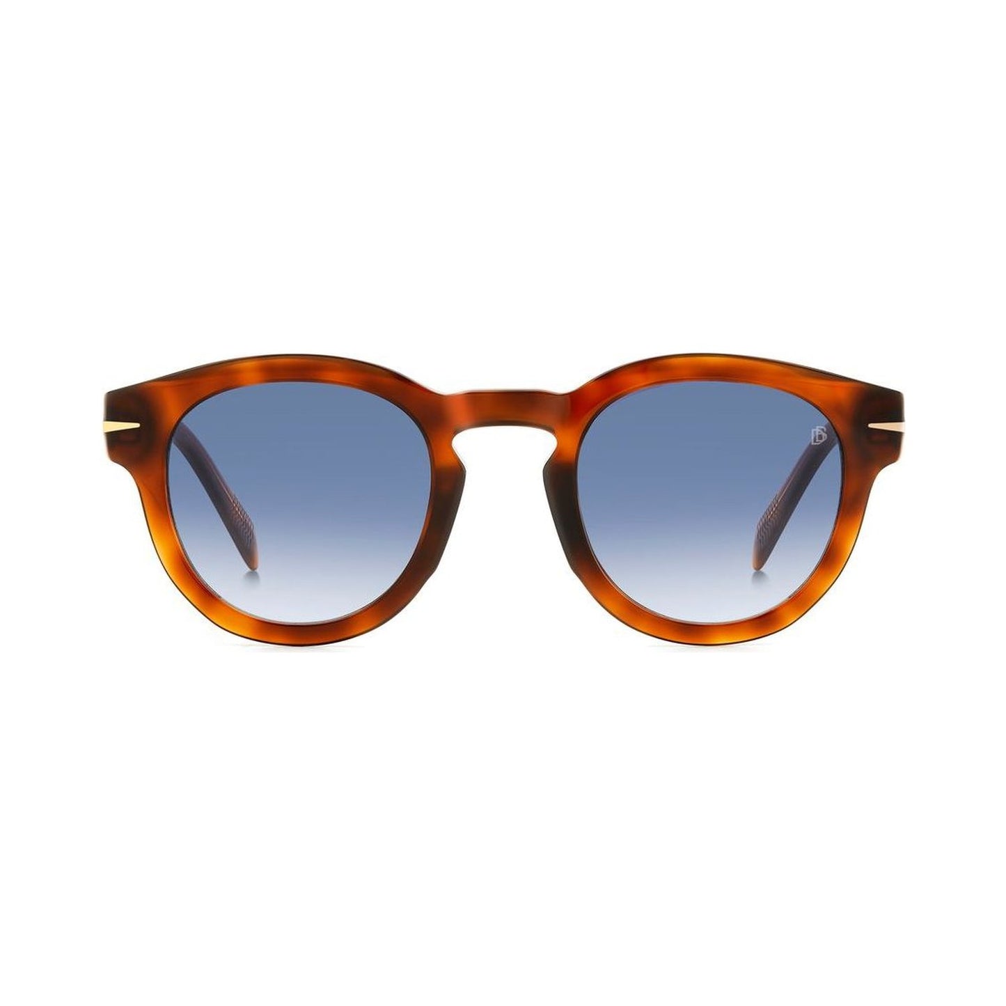 Db 7041/s Flat WR9/08 BROWN HAVANA