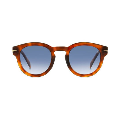 Db 7041/s Flat WR9/08 BROWN HAVANA