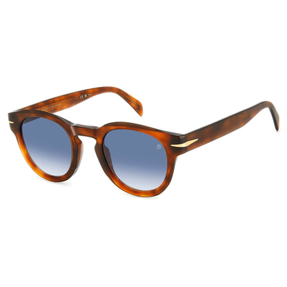 Db 7041/s Flat WR9/08 BROWN HAVANA