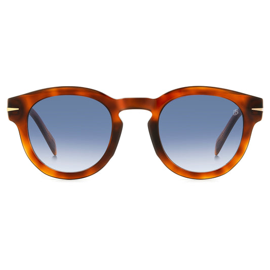 Db 7041/s Flat WR9/08 BROWN HAVANA