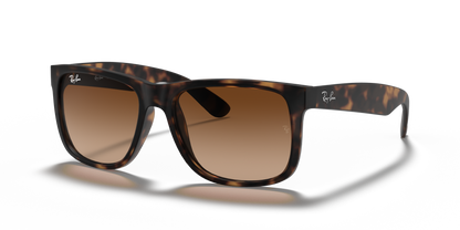 Ray-Ban RB4165 710/13