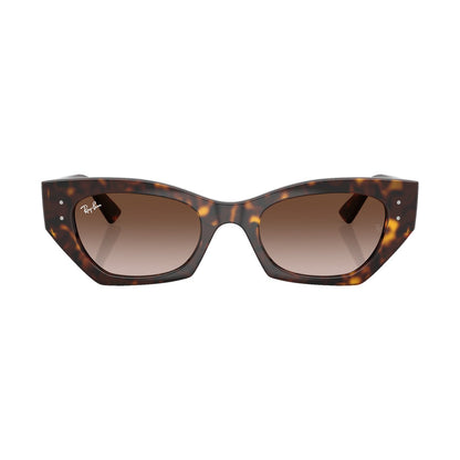 Ray-Ban 4430 | 135913