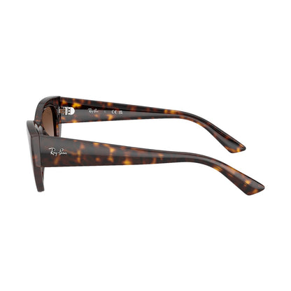 Ray-Ban 4430 | 135913