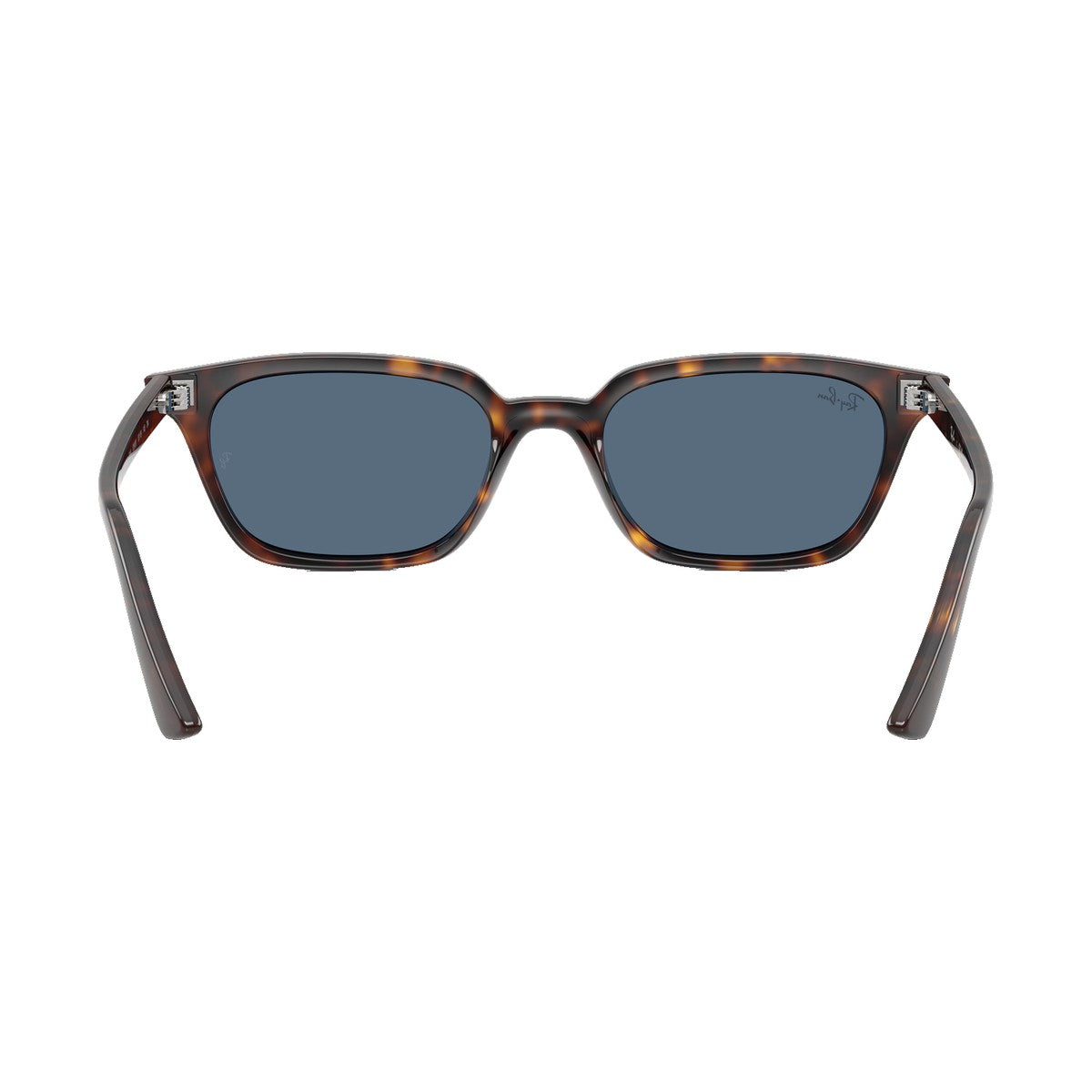 Ray-Ban 4456 | 135980