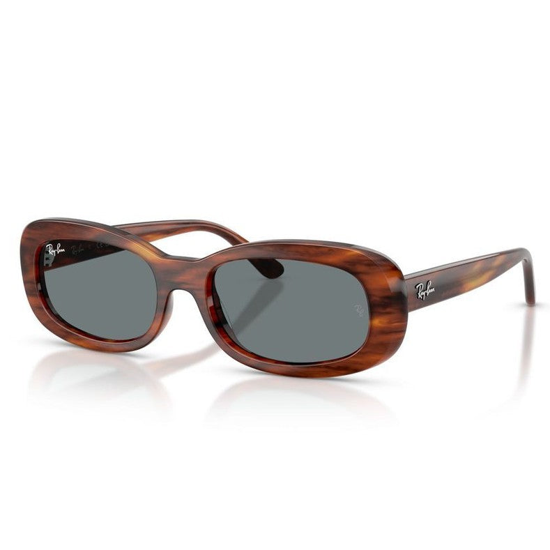 Ray-Ban 2221 SOLE
