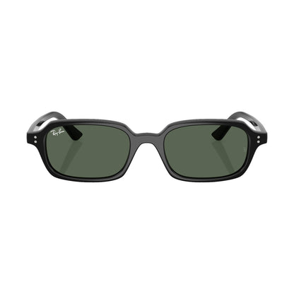 Ray-Ban 4455 | 667771