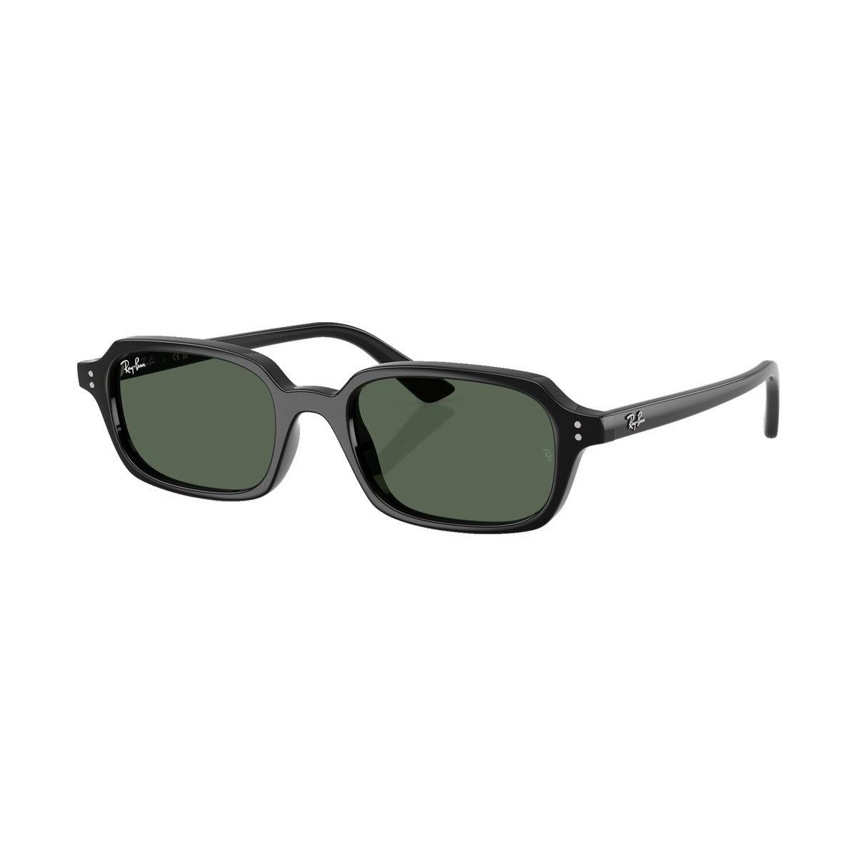 Ray-Ban 4455 | 667771