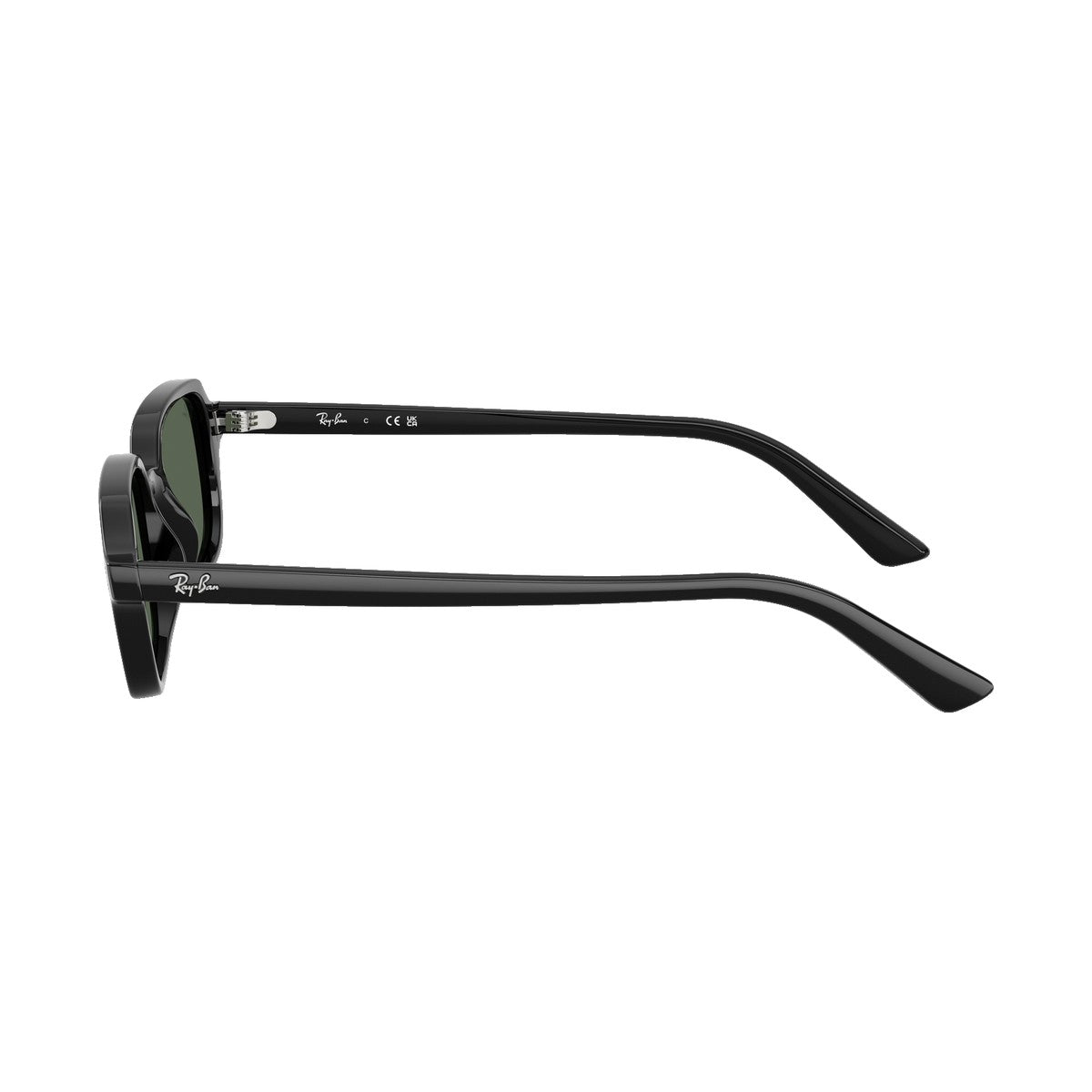 Ray-Ban 4455 | 667771