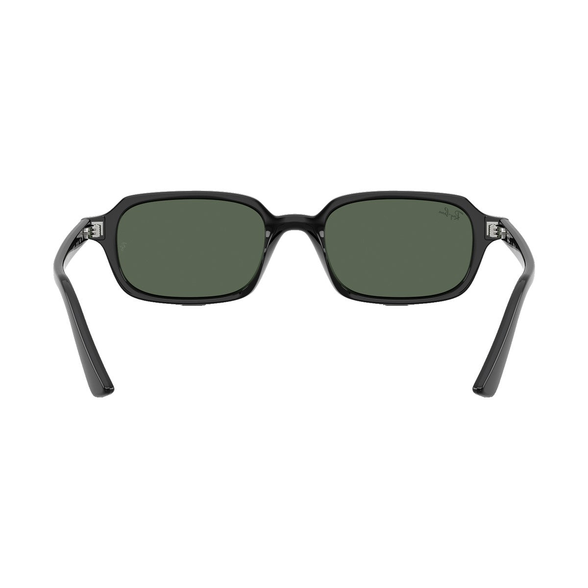 Ray-Ban 4455 | 667771