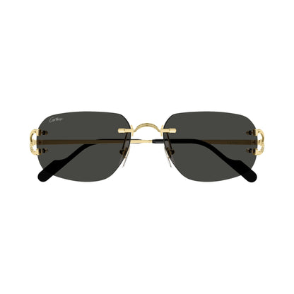 Cartier CT0663S 001 gold gold grey frontale