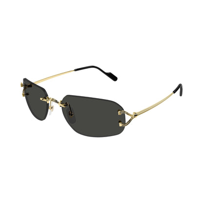 Cartier CT0663S 001 gold gold grey laterale