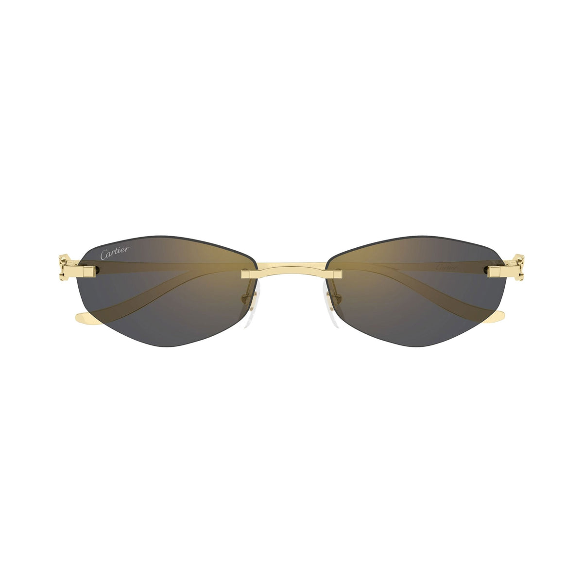 Cartier CT0675S 001 gold gold grey frontale