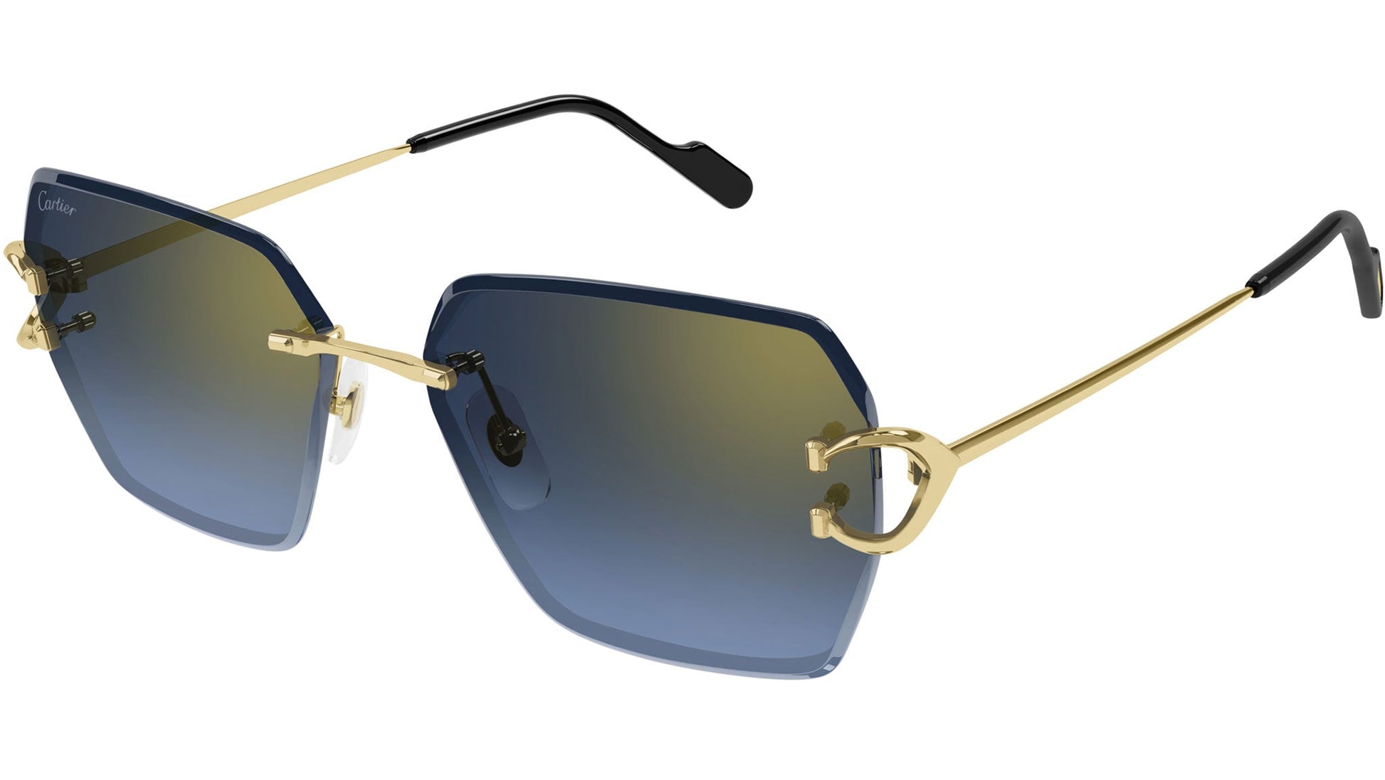 Cartier CT0466S 002 gold blue frontale