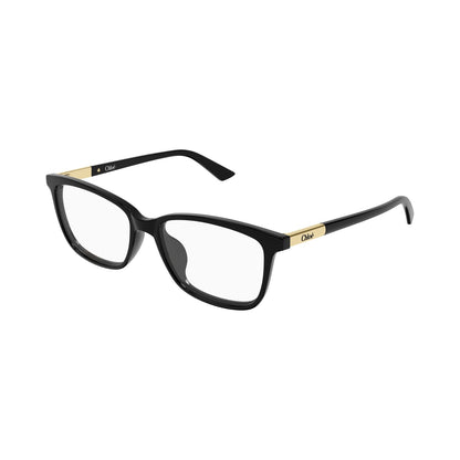 CH0371OA-001 55 Optical Frame WOMAN RECY