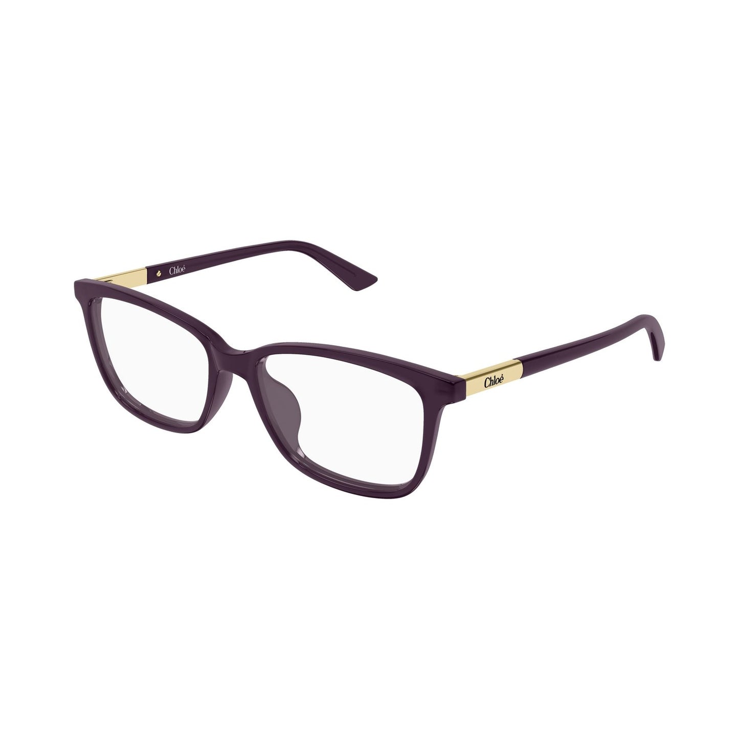 CH0371OA-004 55 Optical Frame WOMAN RECY