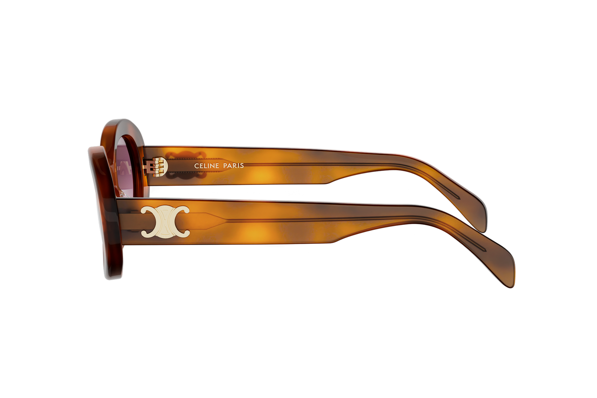 Celine Triomphe CL40194U havana