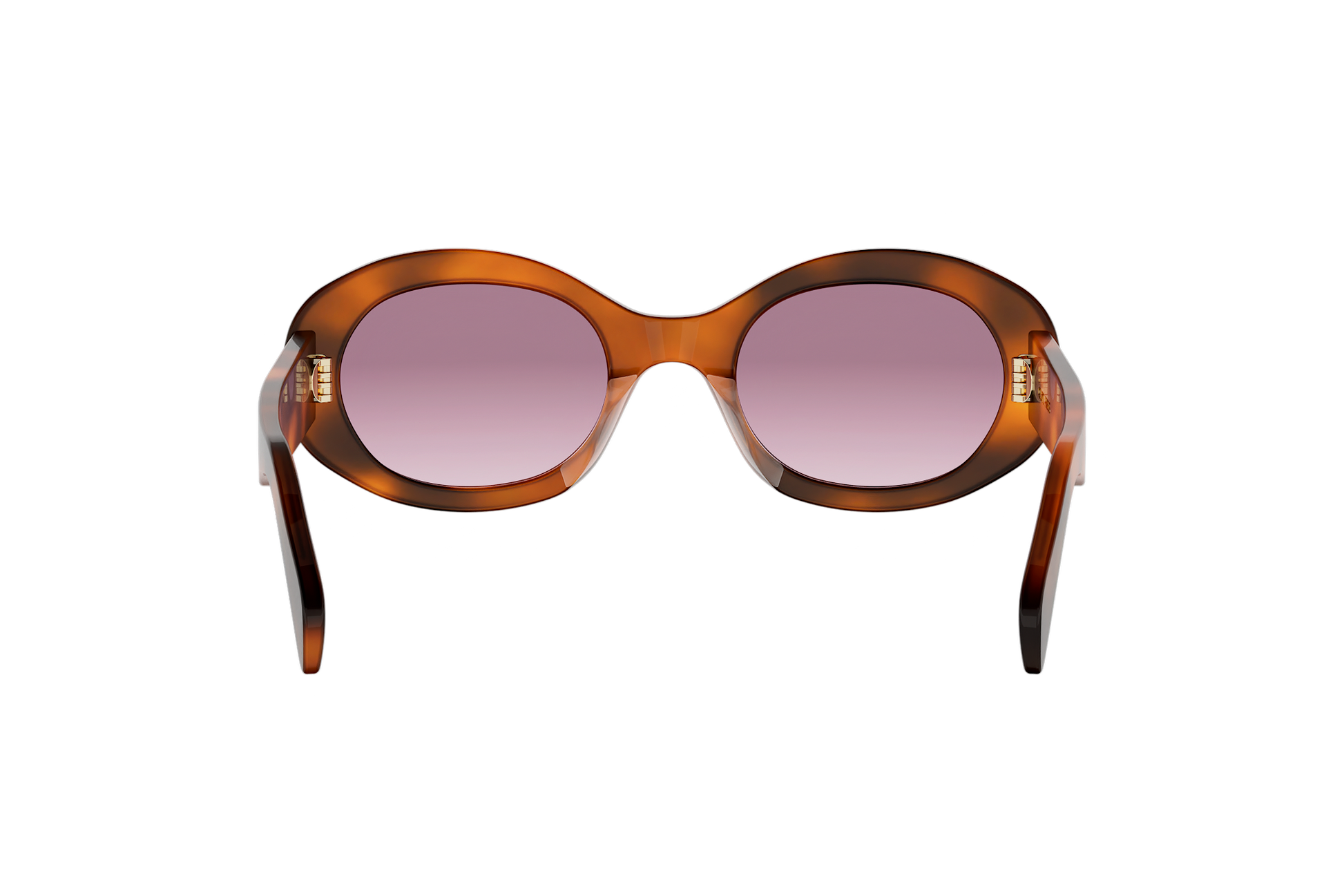 Celine Triomphe CL40194U havana