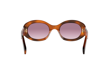Celine Triomphe CL40194U havana