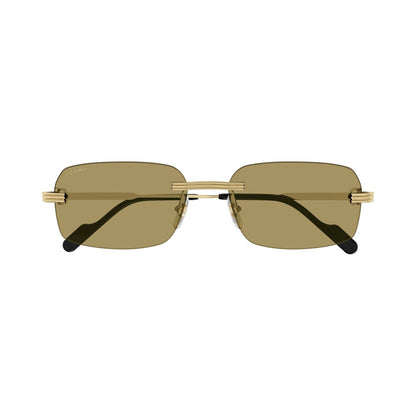 Cartier CT0271S | Lunettes de soleil homme argenté