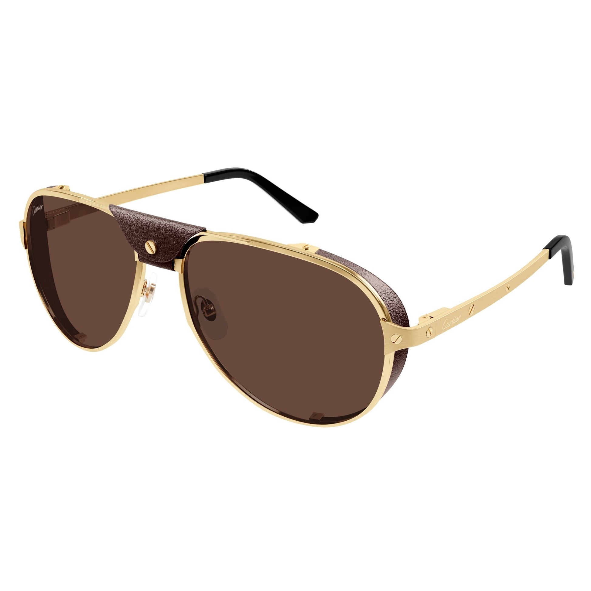 CT0296S-005 61 Sunglass MAN METAL