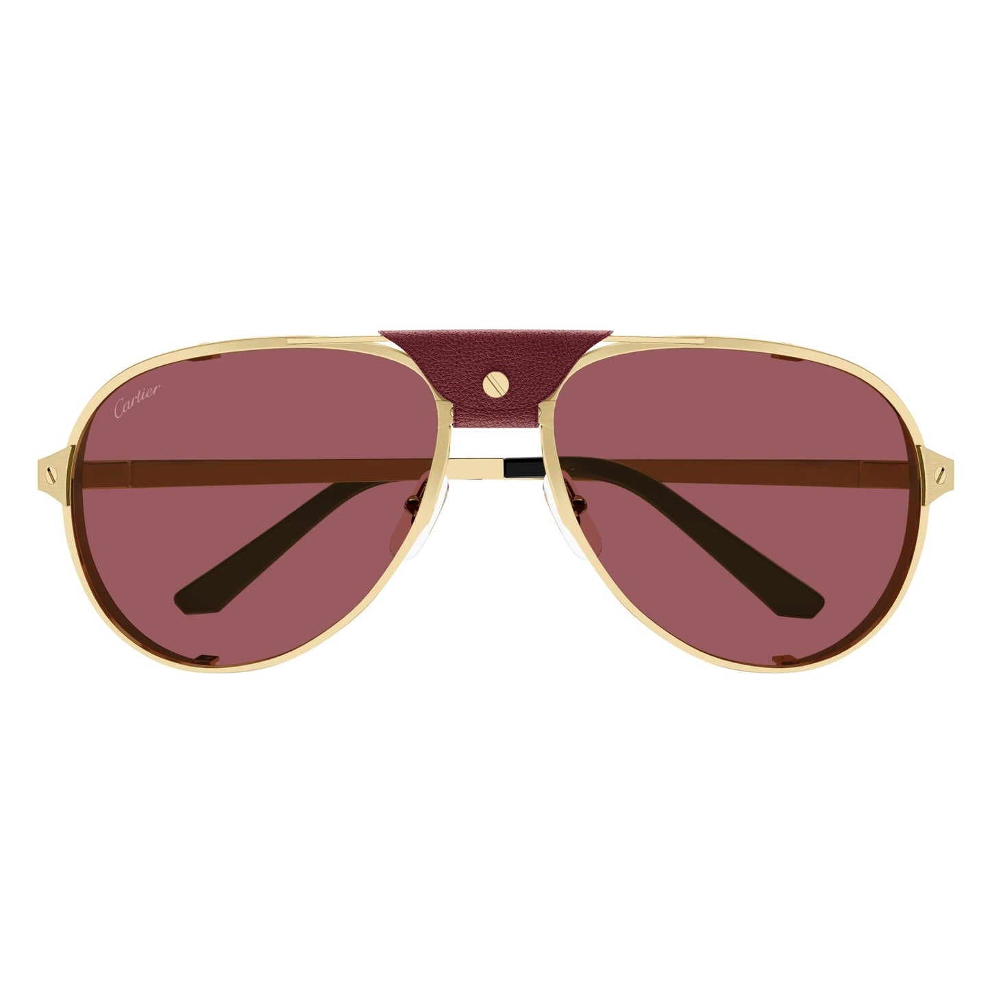 CT0296S-006 61 Sunglass MAN METAL