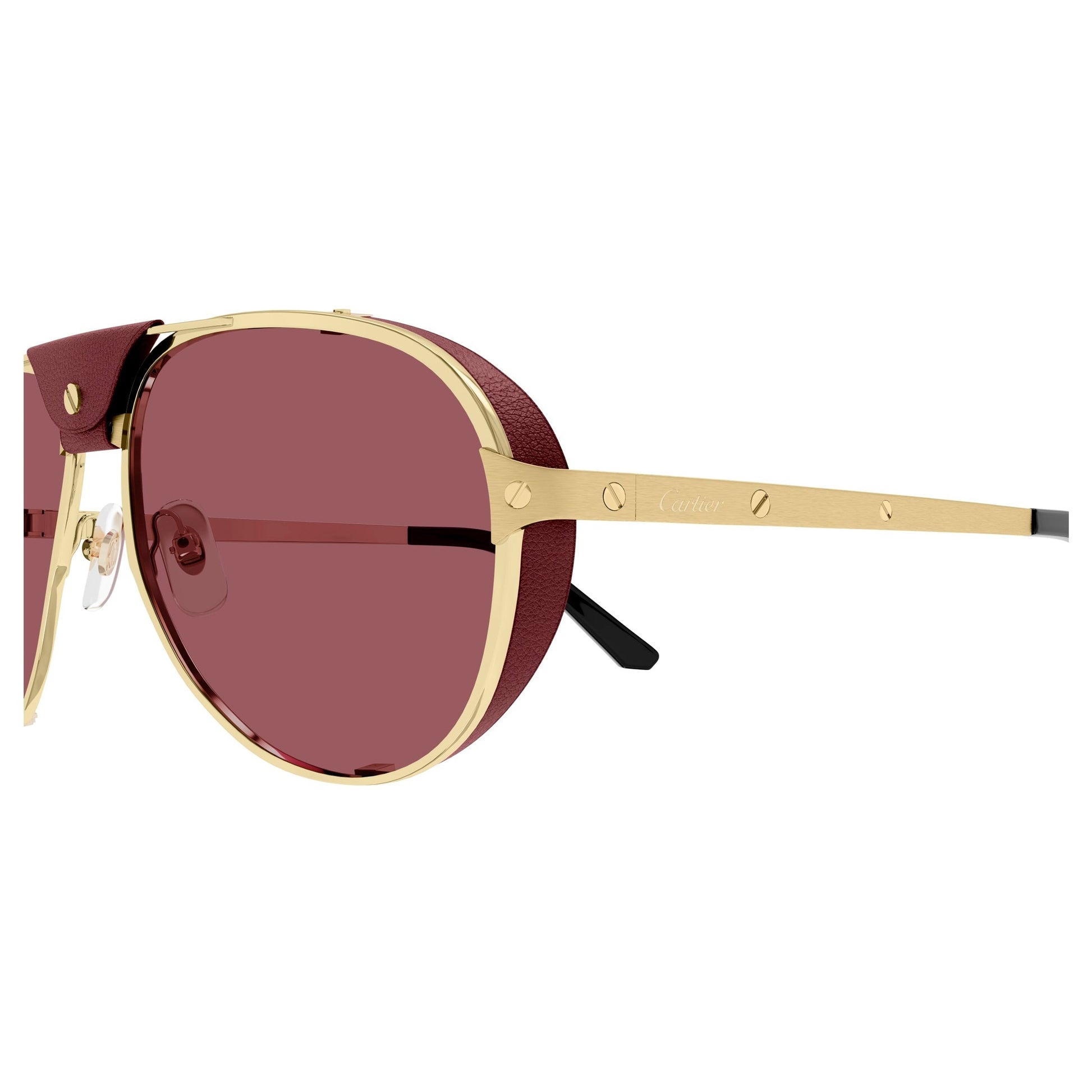 CT0296S-006 61 Sunglass MAN METAL