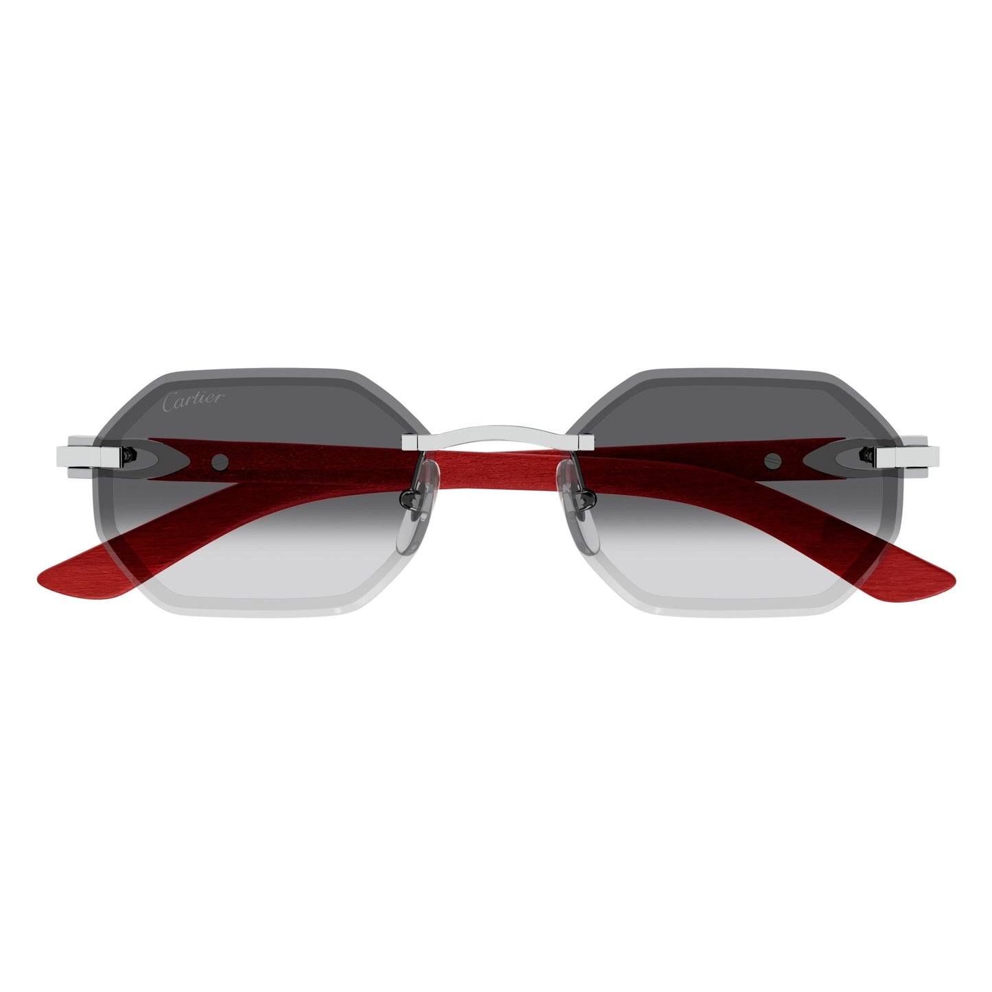 CT0439S-005 54 Sunglass MAN METAL