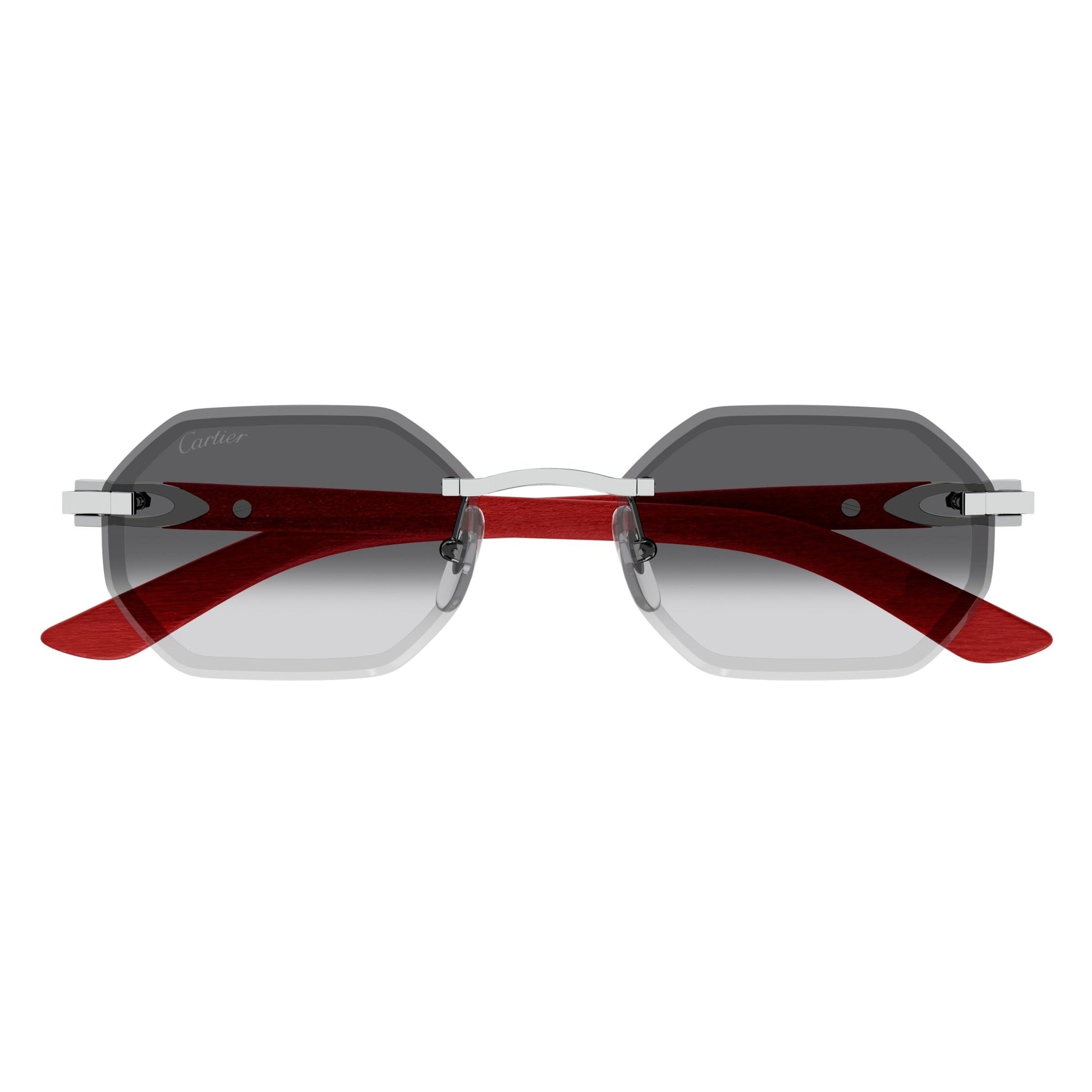 CT0439S-005 54 Sunglass MAN METAL
