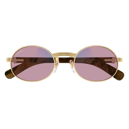 CT0464S-013 53 Sunglass MAN METAL