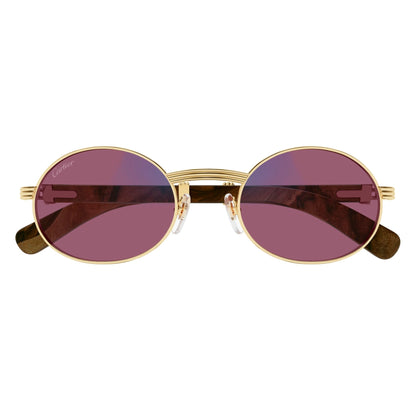CT0464S-013 53 Sunglass MAN METAL